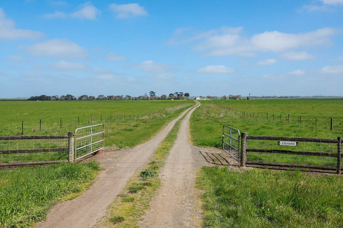 'Leigrand' Willatook-Warrong Road, Willatook For Sale by Farmbuy.com - image 4
