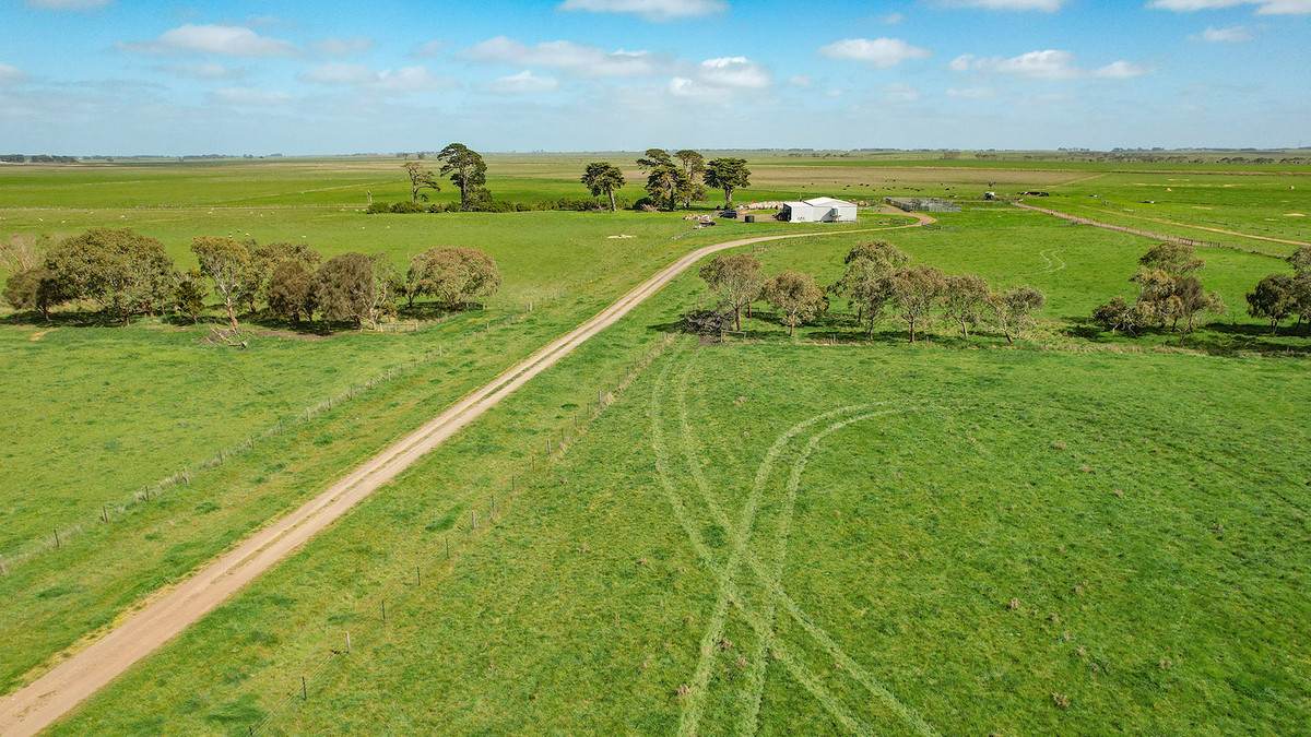 'Leigrand' Willatook-Warrong Road, Willatook For Sale by Farmbuy.com - image 15