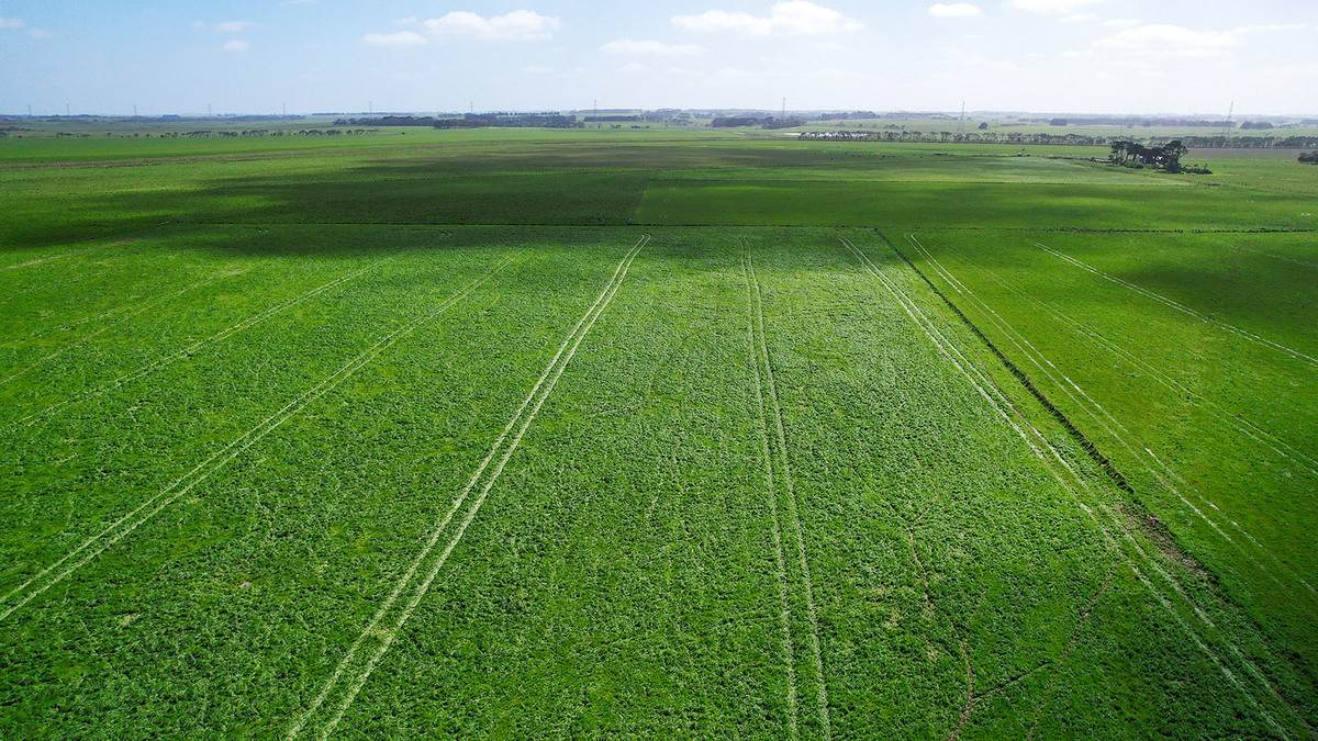 'Leigrand' Willatook-Warrong Road, Willatook For Sale by Farmbuy.com - image 2