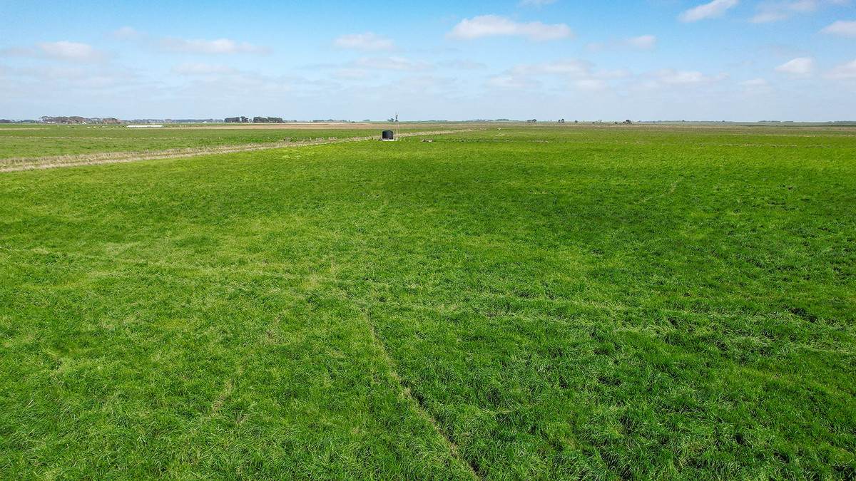 'Leigrand' Willatook-Warrong Road, Willatook For Sale by Farmbuy.com - image 3
