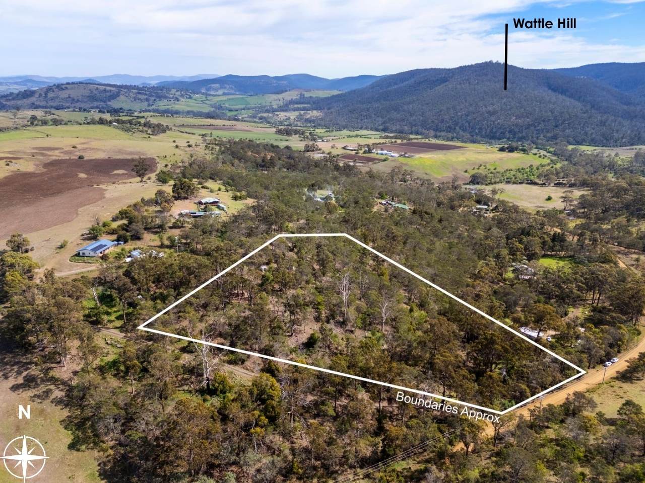 607 Delmore Road, Wattle Hill For Sale by Farmbuy.com - image 3