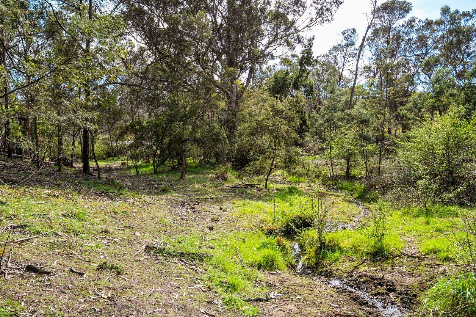 607 Delmore Road, Wattle Hill For Sale by Farmbuy.com - image 5
