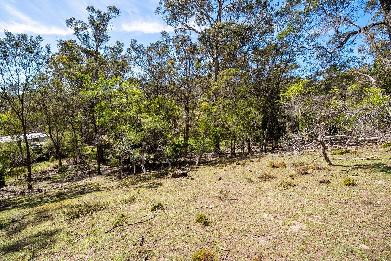607 Delmore Road, Wattle Hill For Sale by Farmbuy.com - image 12