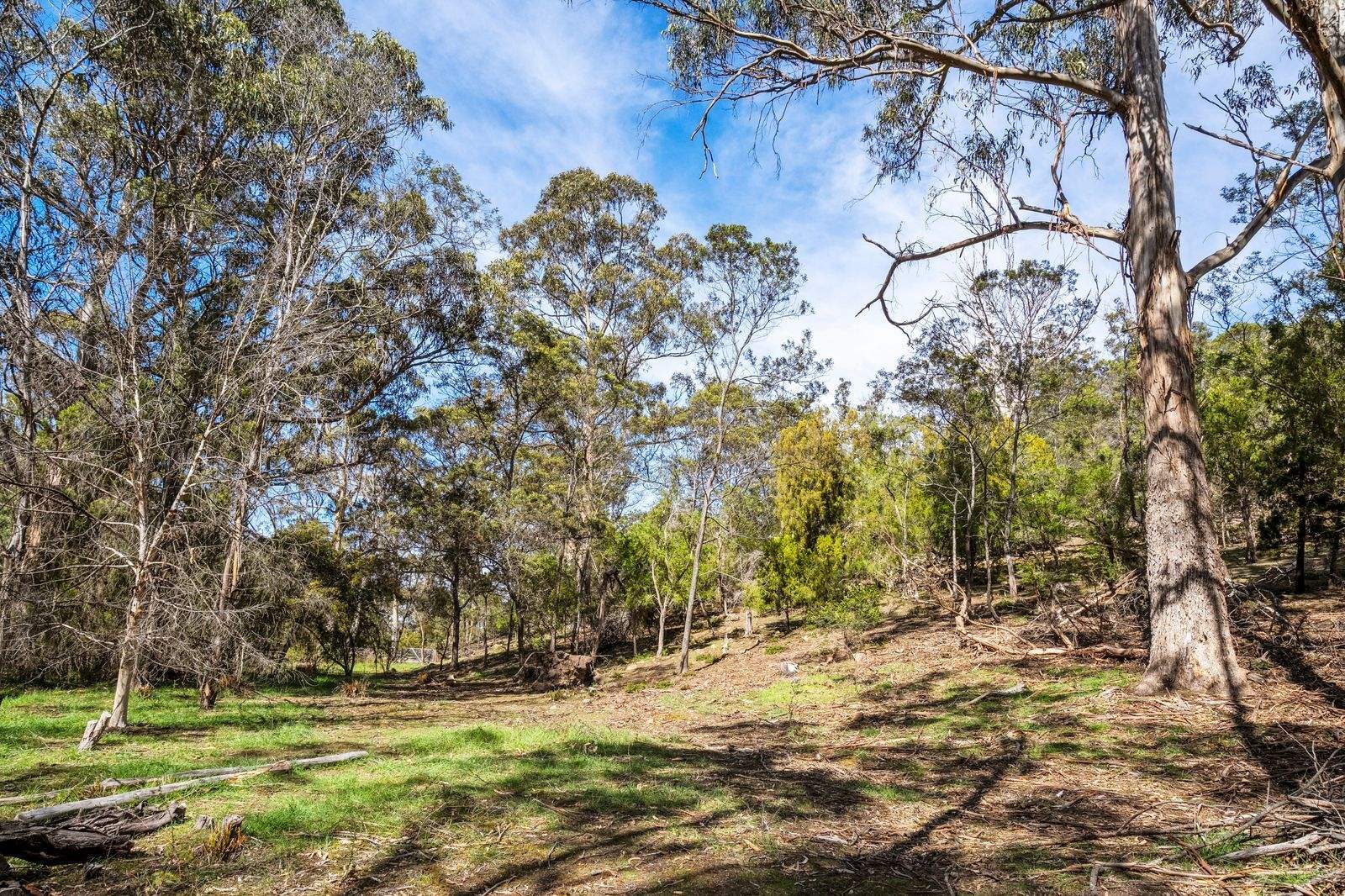 607 Delmore Road, Wattle Hill For Sale by Farmbuy.com - image 7
