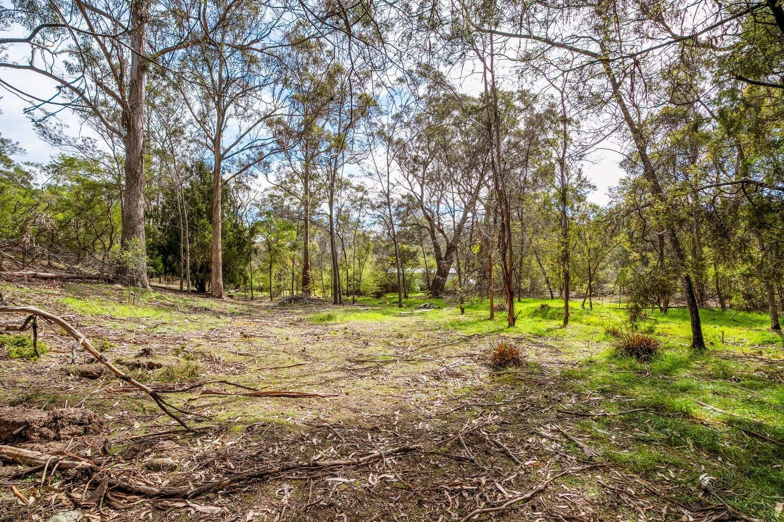 607 Delmore Road, Wattle Hill For Sale by Farmbuy.com - image 4