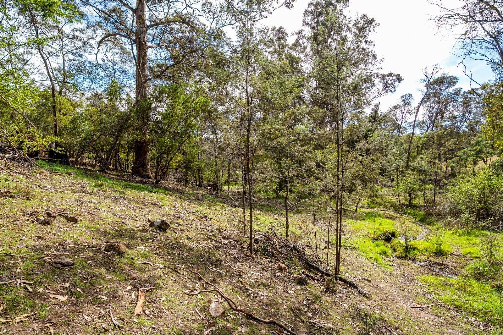 607 Delmore Road, Wattle Hill For Sale by Farmbuy.com - image 11