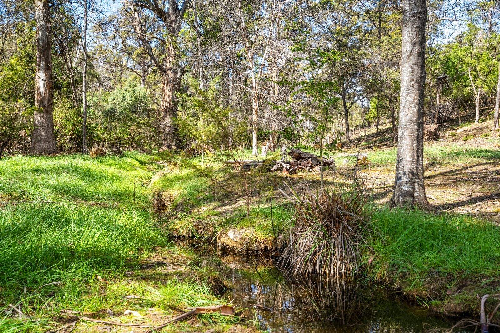 607 Delmore Road, Wattle Hill For Sale by Farmbuy.com - image 9
