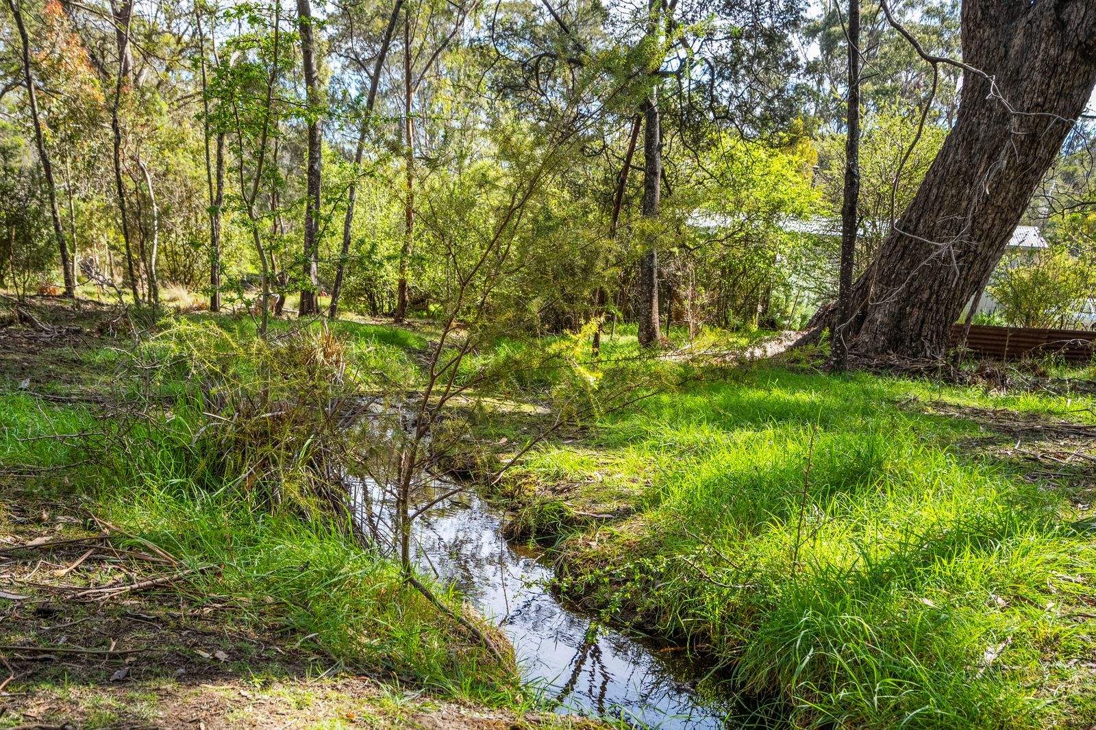 607 Delmore Road, Wattle Hill For Sale by Farmbuy.com - image 8