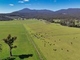 38791 Tasman Highway, Nunamara For Sale by Elders Real Estate Tasmania