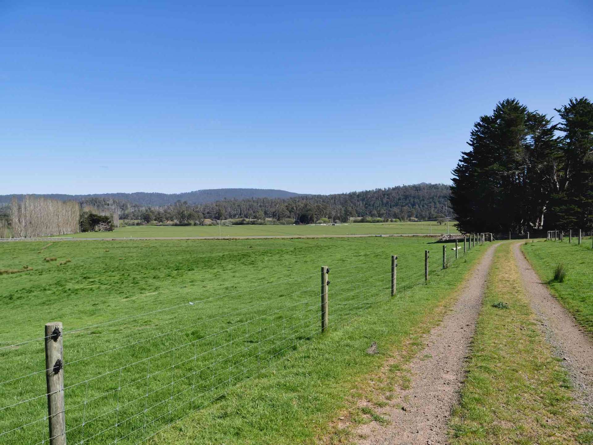 38791 Tasman Highway, Nunamara For Sale by Farmbuy.com - image 4