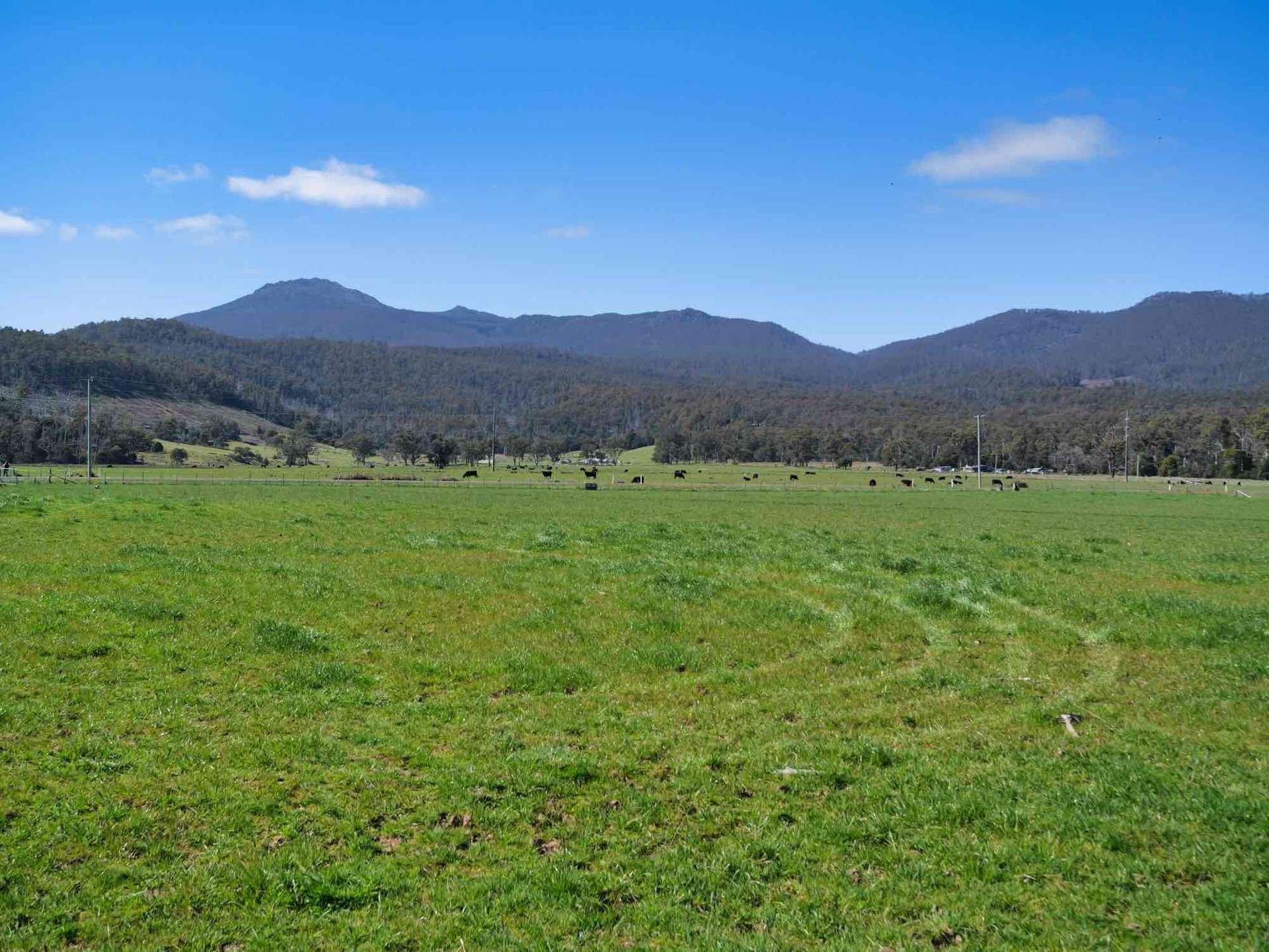 38791 Tasman Highway, Nunamara For Sale by Farmbuy.com - image 3