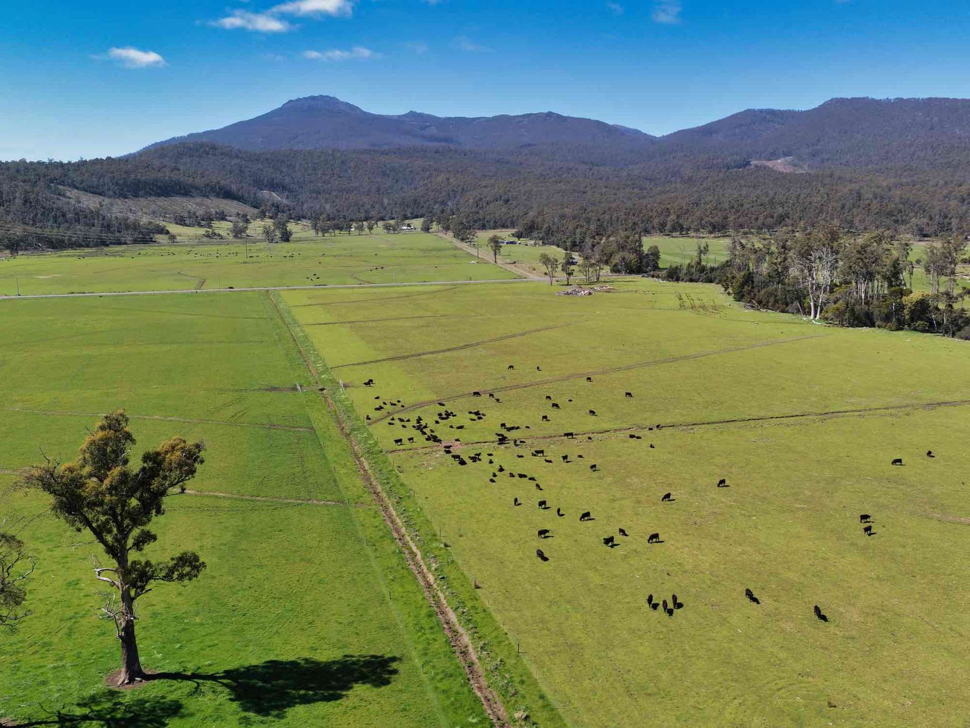 38791 Tasman Highway, Nunamara For Sale by Farmbuy.com - image 1