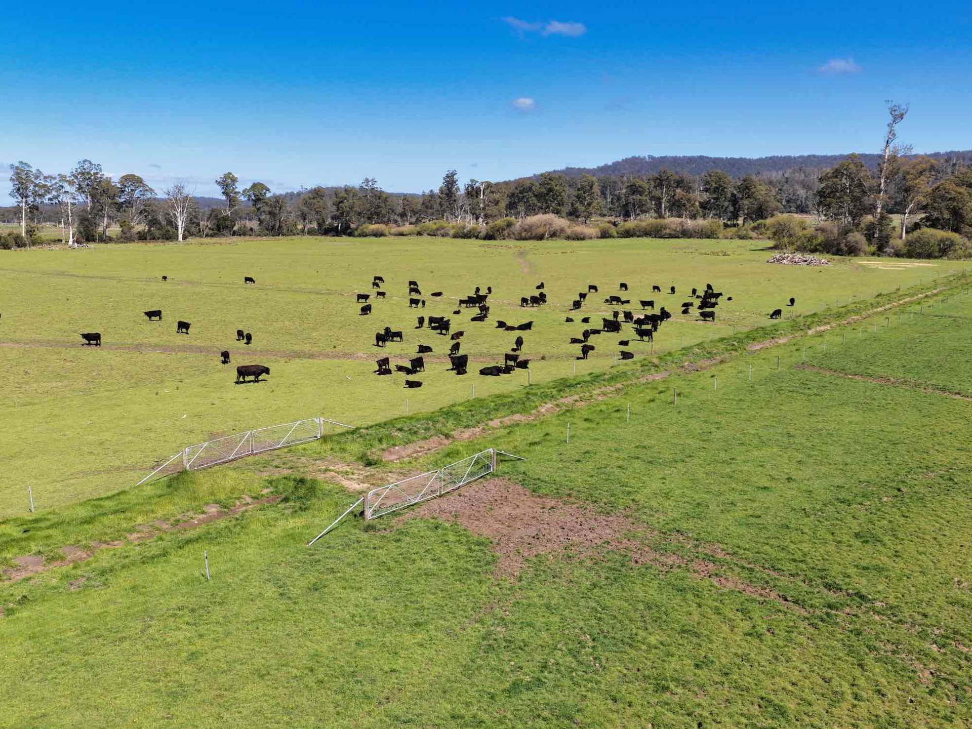 38791 Tasman Highway, Nunamara For Sale by Farmbuy.com - image 5