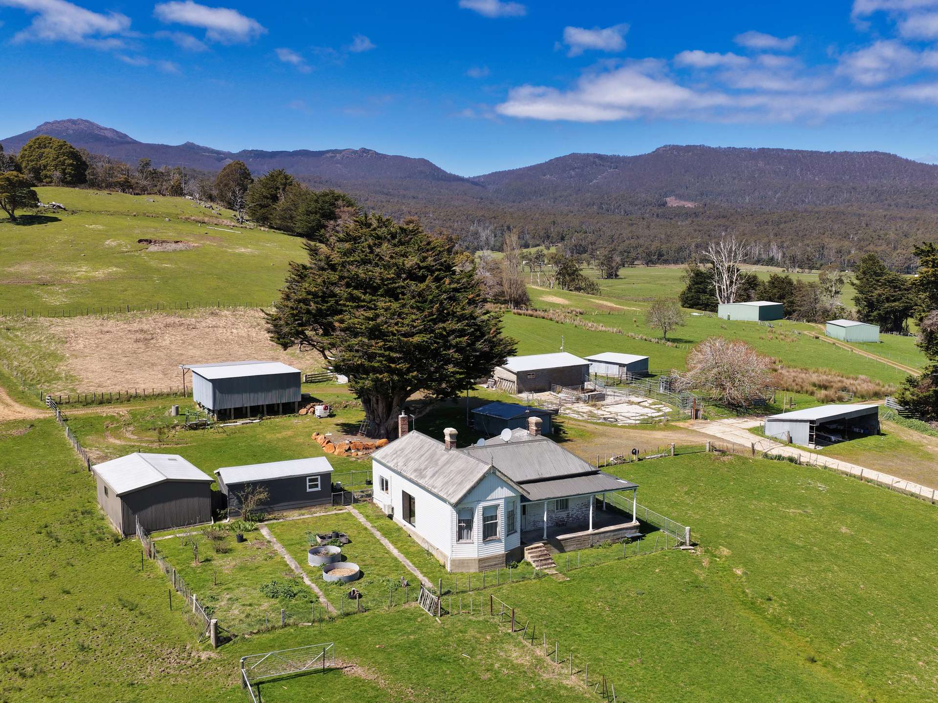 38791 Tasman Highway, Nunamara For Sale by Farmbuy.com - image 13