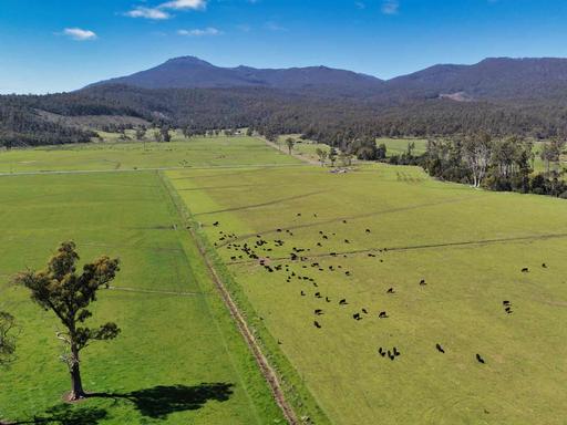 Farm For Sale - TAS - Nunamara - 7259 - A Strategic Rural Holding with 1,150 ML of Irrigation Allocation 
