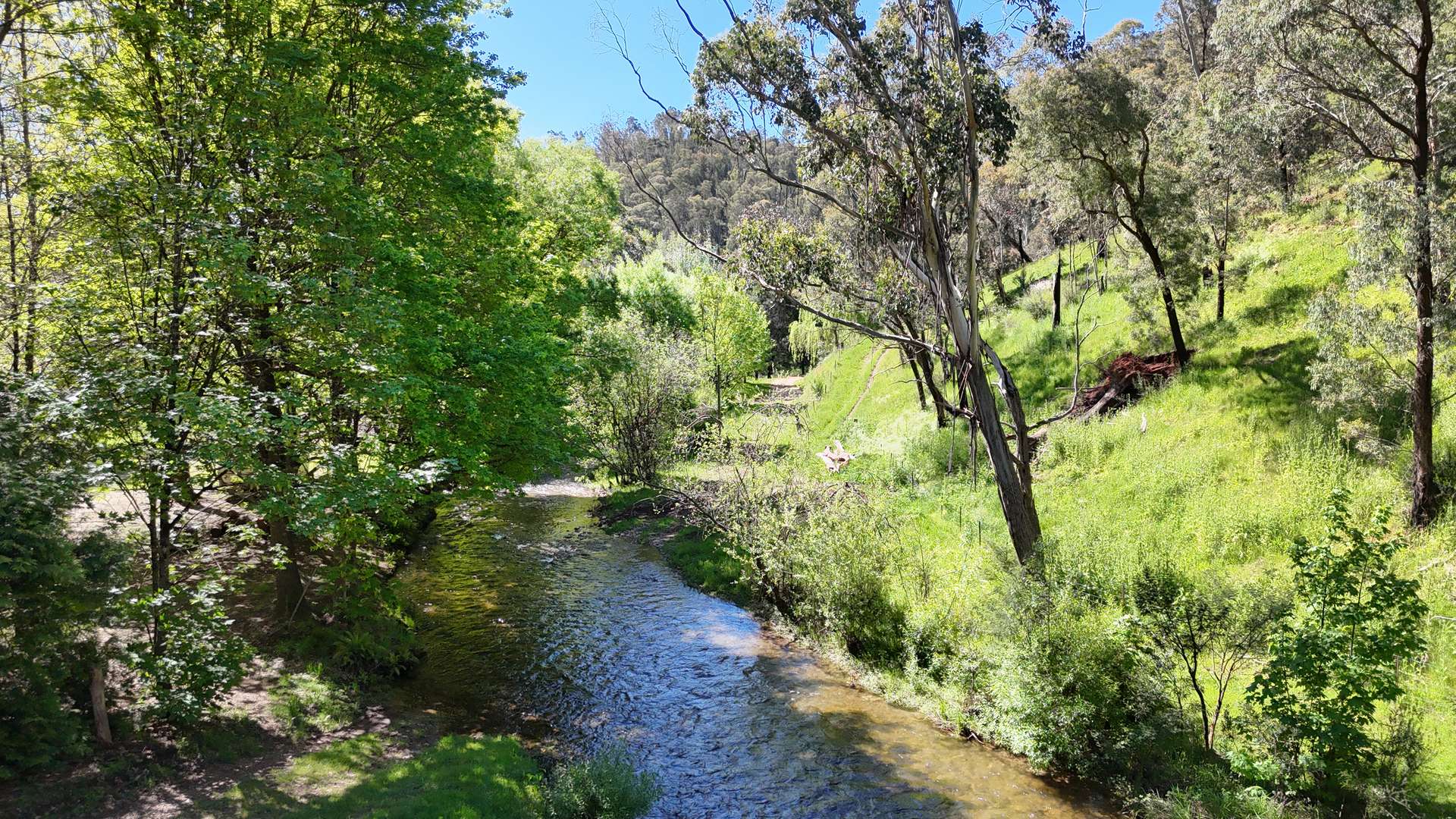1711 Thowgla Road, Thowgla Valley For Sale by Farmbuy.com - image 4