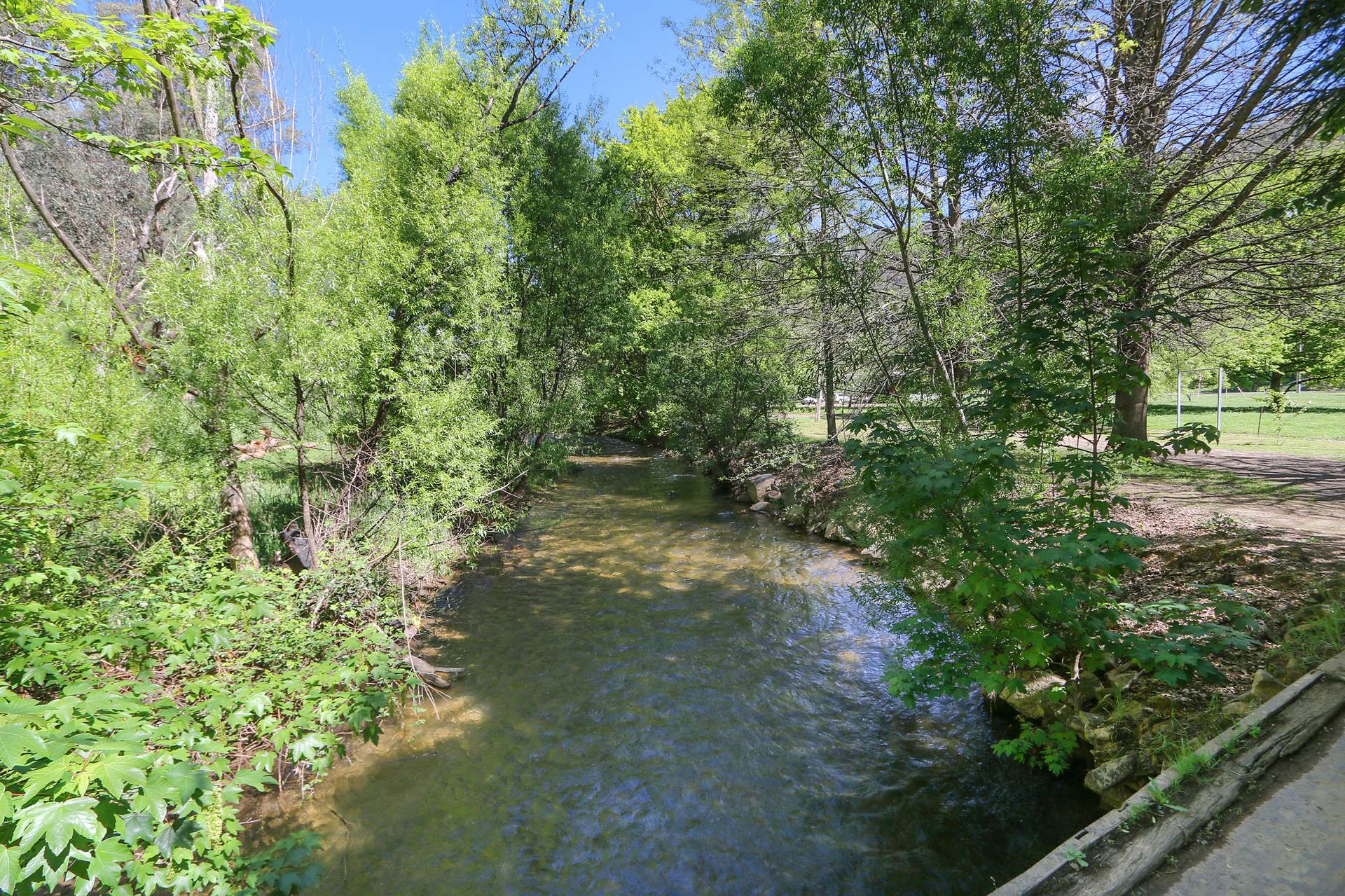 1711 Thowgla Road, Thowgla Valley For Sale by Farmbuy.com - image 3