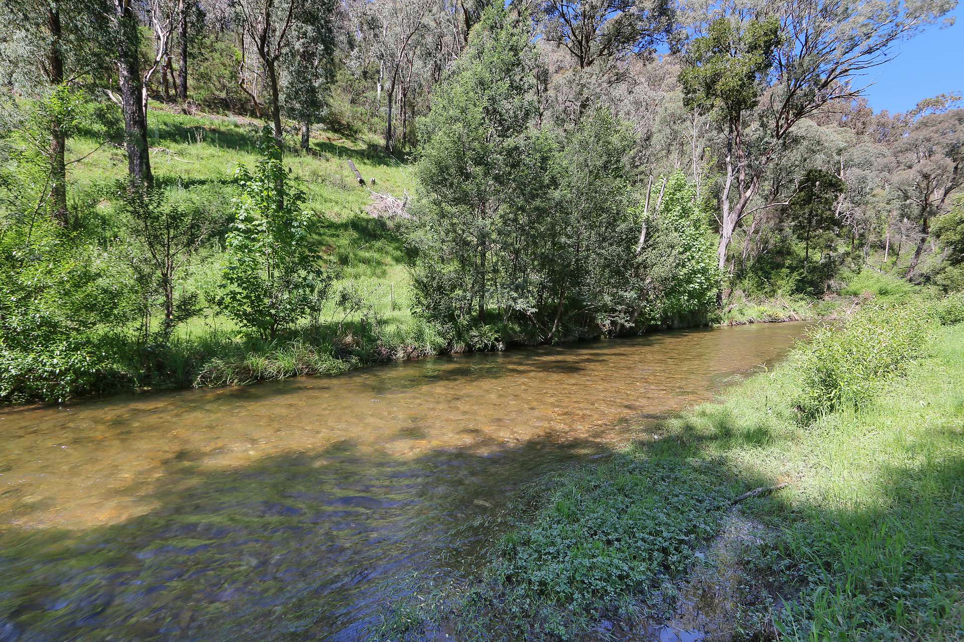 1711 Thowgla Road, Thowgla Valley For Sale by Farmbuy.com - image 2