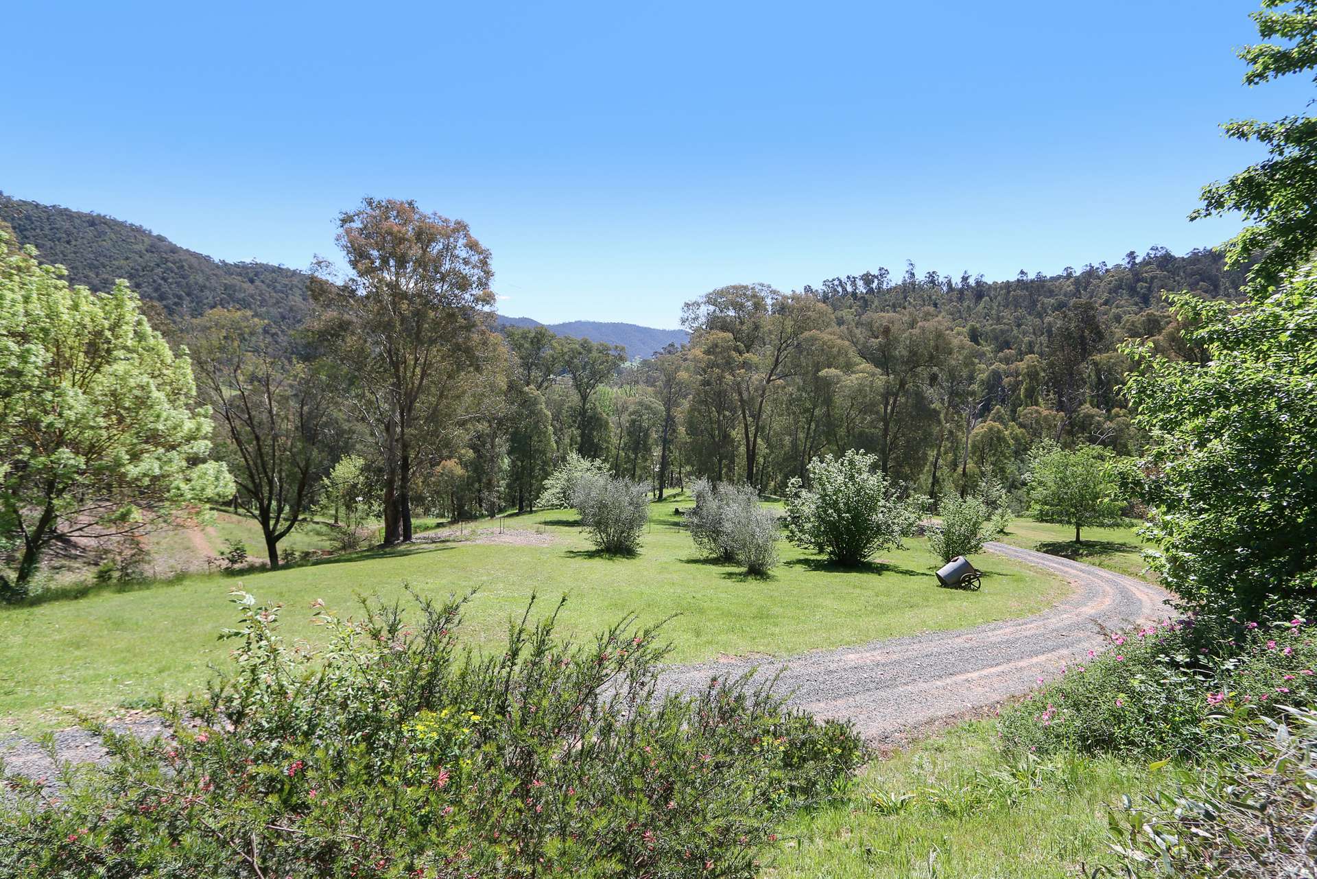 1711 Thowgla Road, Thowgla Valley For Sale by Farmbuy.com - image 29