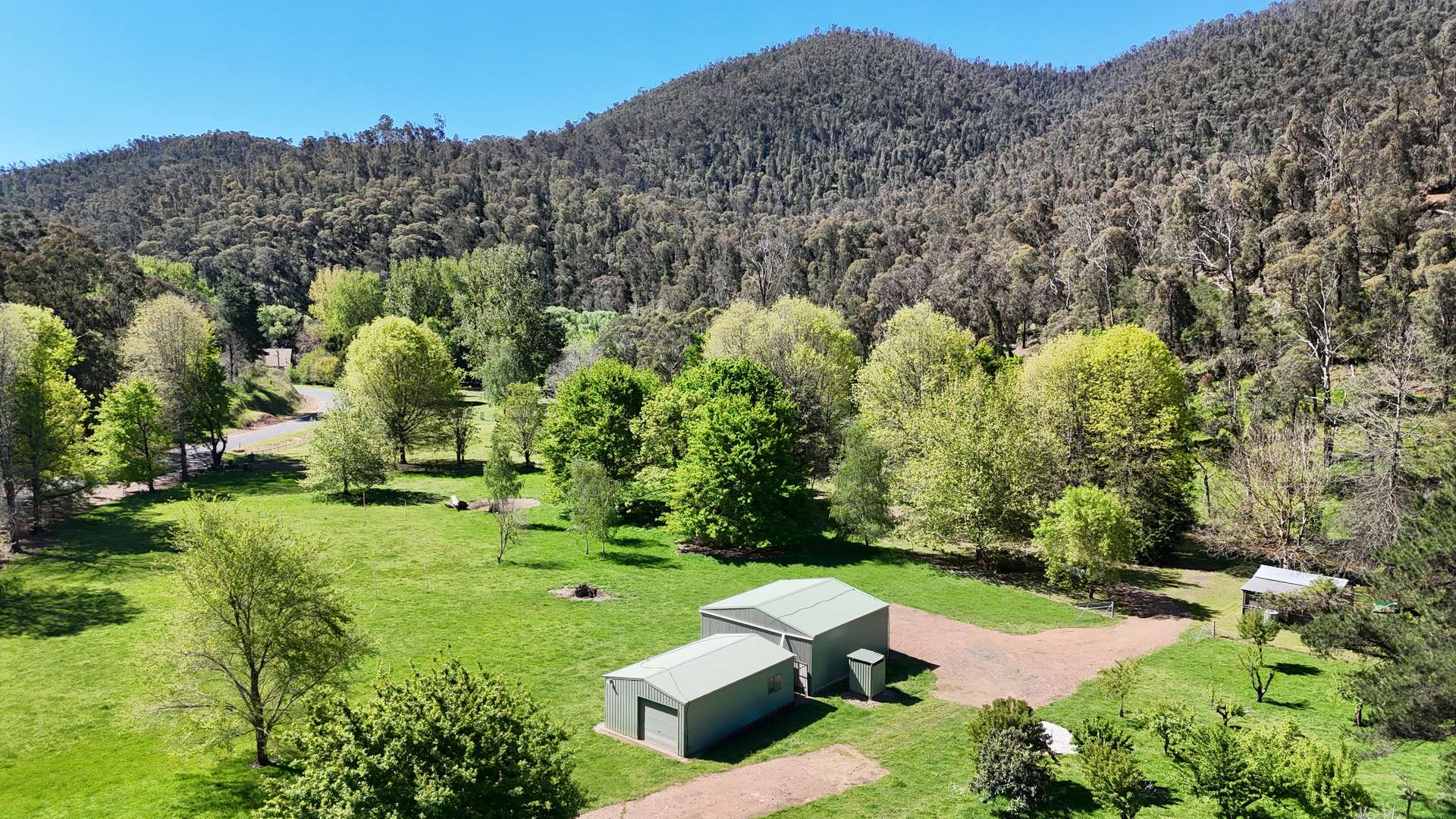 1711 Thowgla Road, Thowgla Valley For Sale by Farmbuy.com - image 7