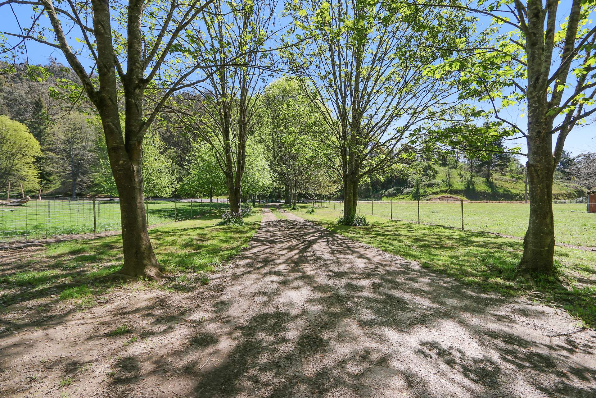 1711 Thowgla Road, Thowgla Valley For Sale by Farmbuy.com - image 28