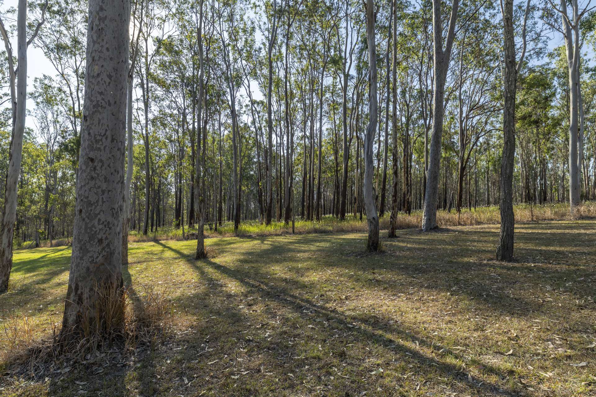 58 Hillview Drive, Waterview Heights For Sale by Farmbuy.com - image 25