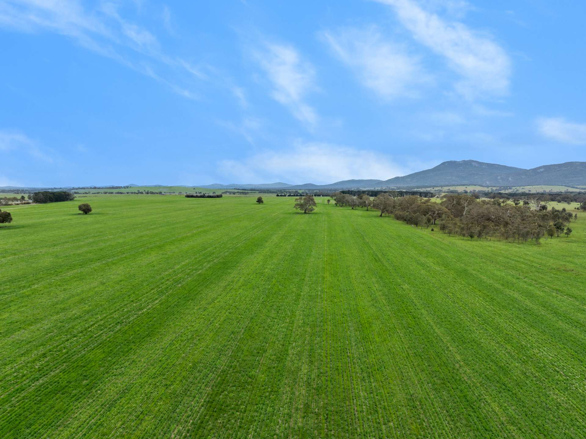 47 Price Road, Ballyrogan For Sale by Farmbuy.com - image 8
