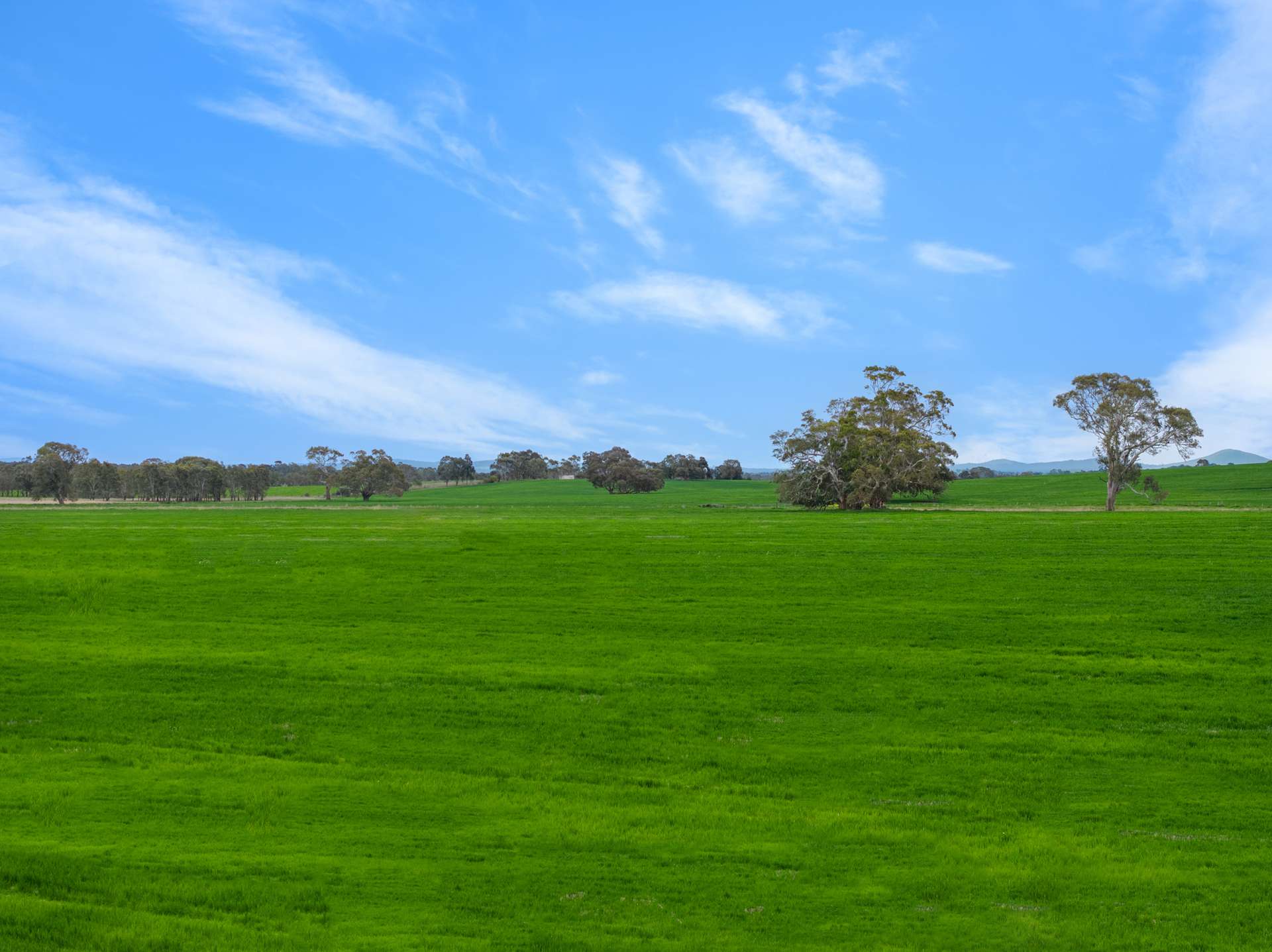 47 Price Road, Ballyrogan For Sale by Farmbuy.com - image 10