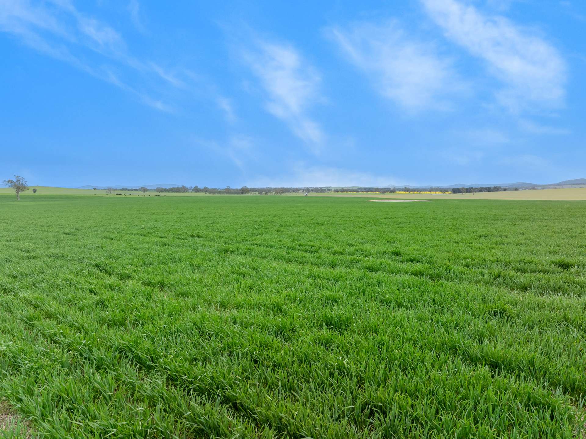 47 Price Road, Ballyrogan For Sale by Farmbuy.com - image 2