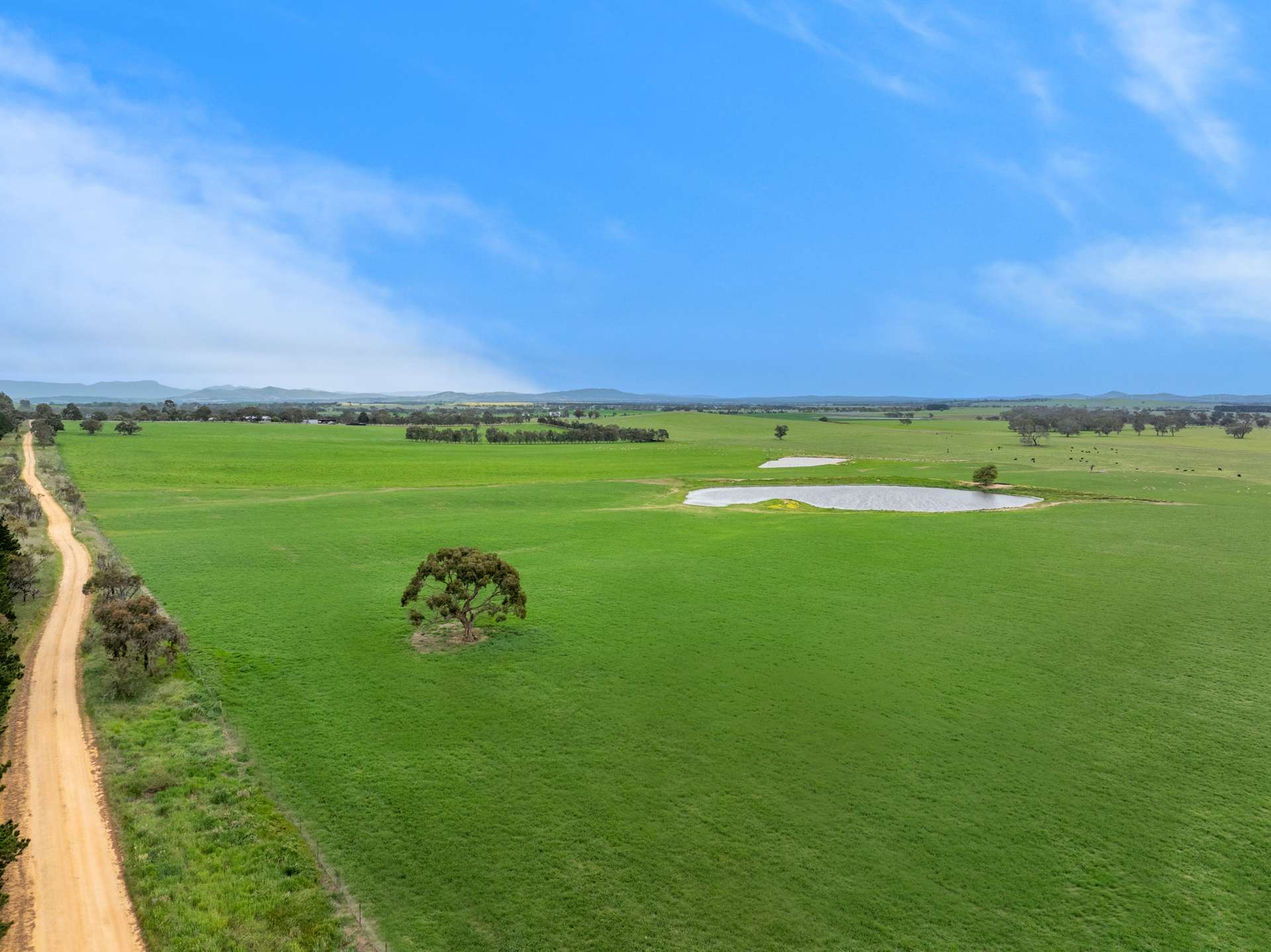 47 Price Road, Ballyrogan For Sale by Farmbuy.com - image 6