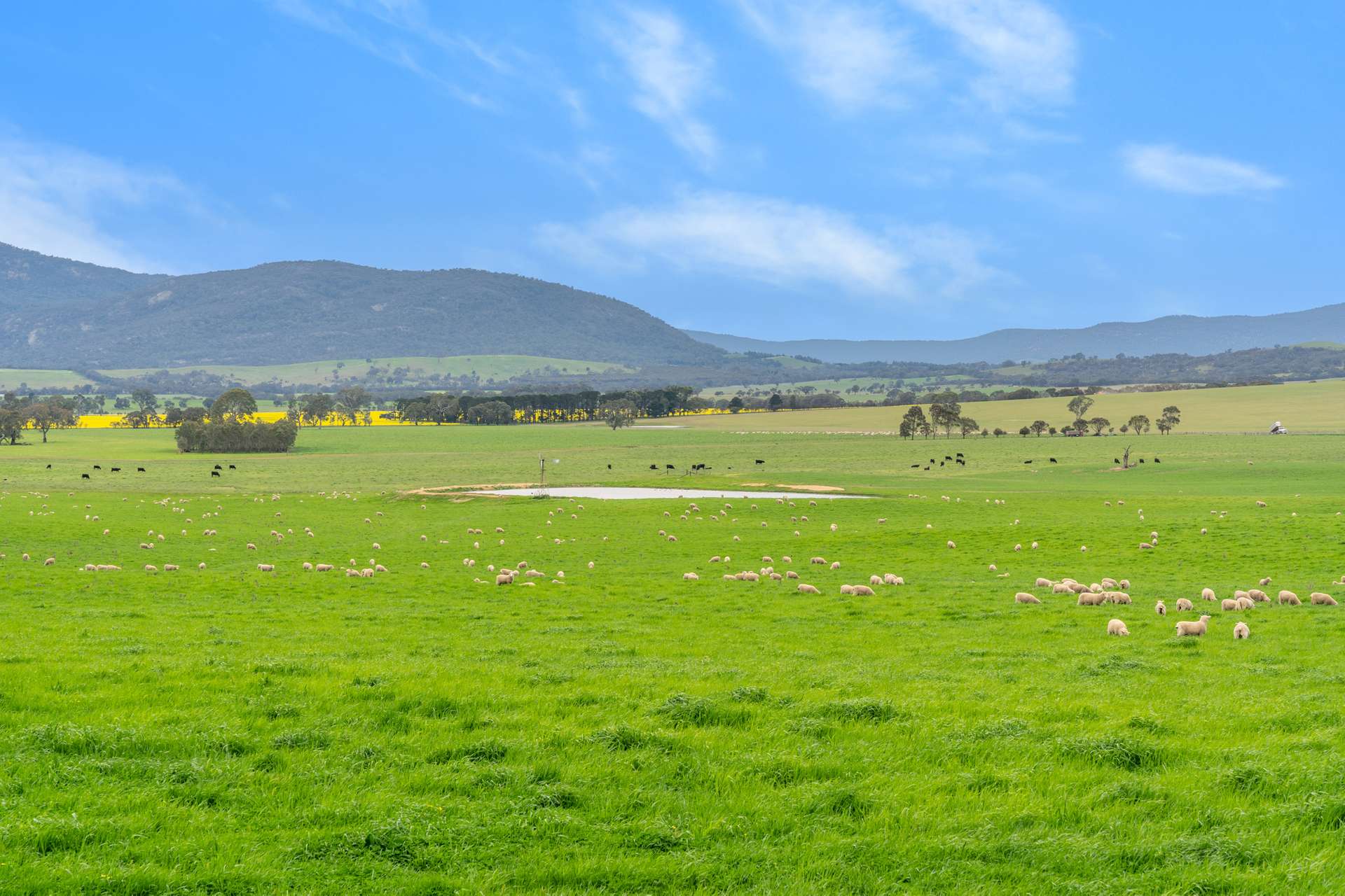 47 Price Road, Ballyrogan For Sale by Farmbuy.com - image 5