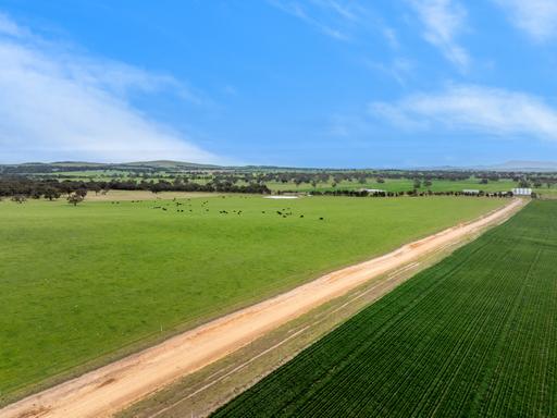 Farm For Sale - VIC - Ballyrogan - 3375 - FOR SALE FOR THE FIRST TIME IN 140* YEARS 