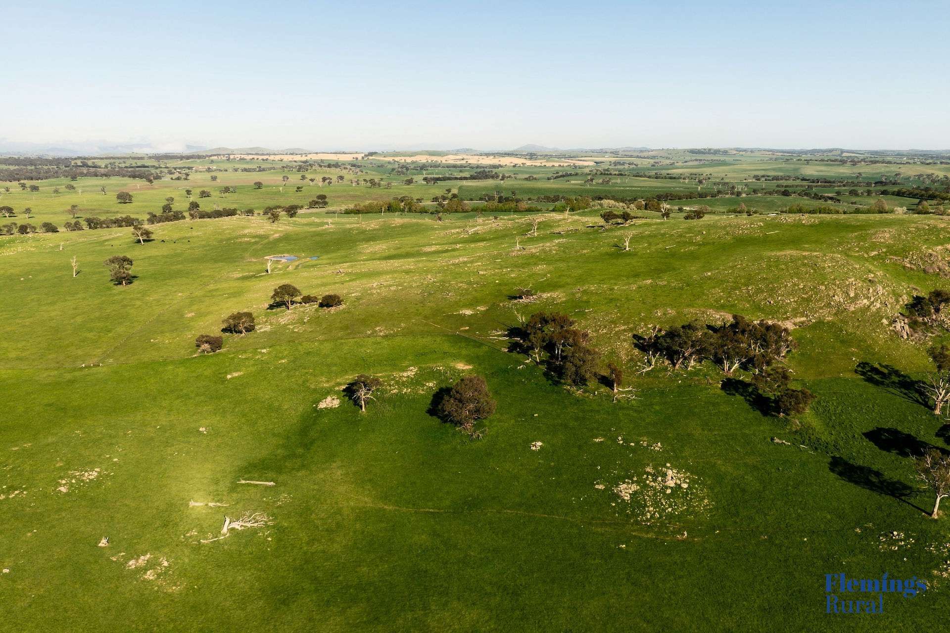 1174 Lachlan Valley Way, Bowning For Sale by Farmbuy.com - image 4