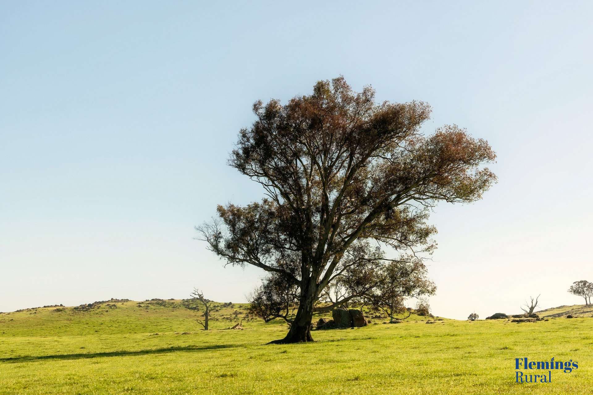 1174 Lachlan Valley Way, Bowning For Sale by Farmbuy.com - image 18