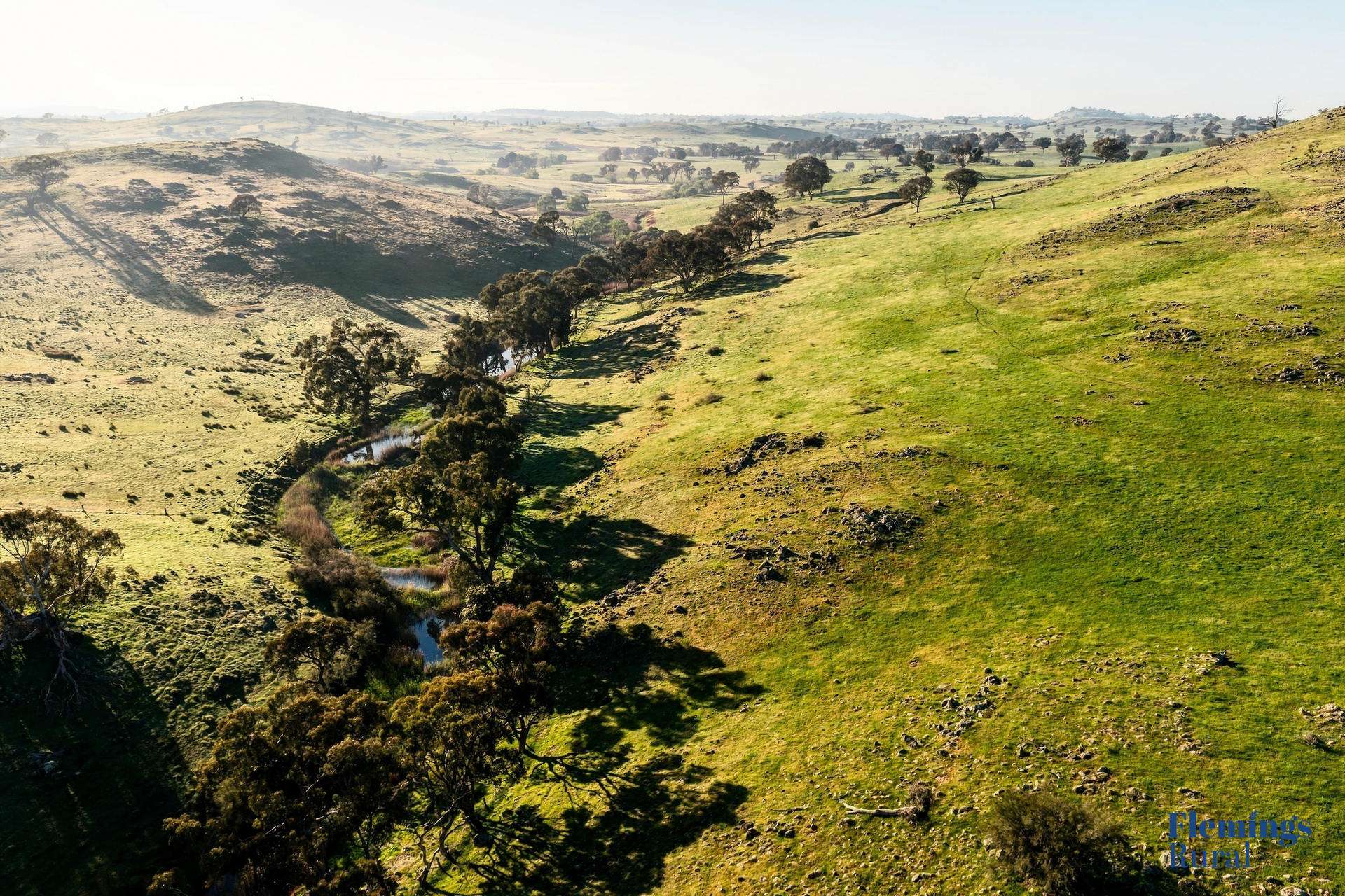 1174 Lachlan Valley Way, Bowning For Sale by Farmbuy.com - image 16