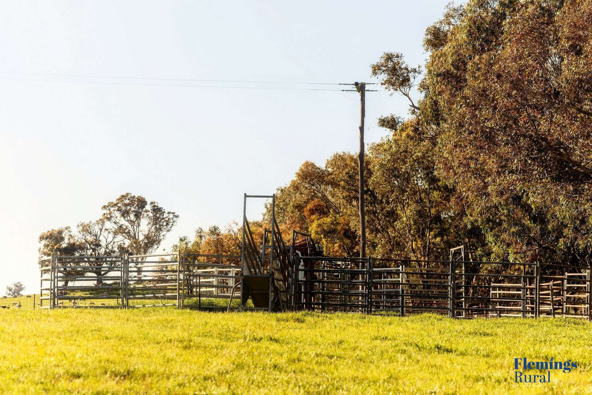 1174 Lachlan Valley Way, Bowning For Sale by Farmbuy.com - image 3