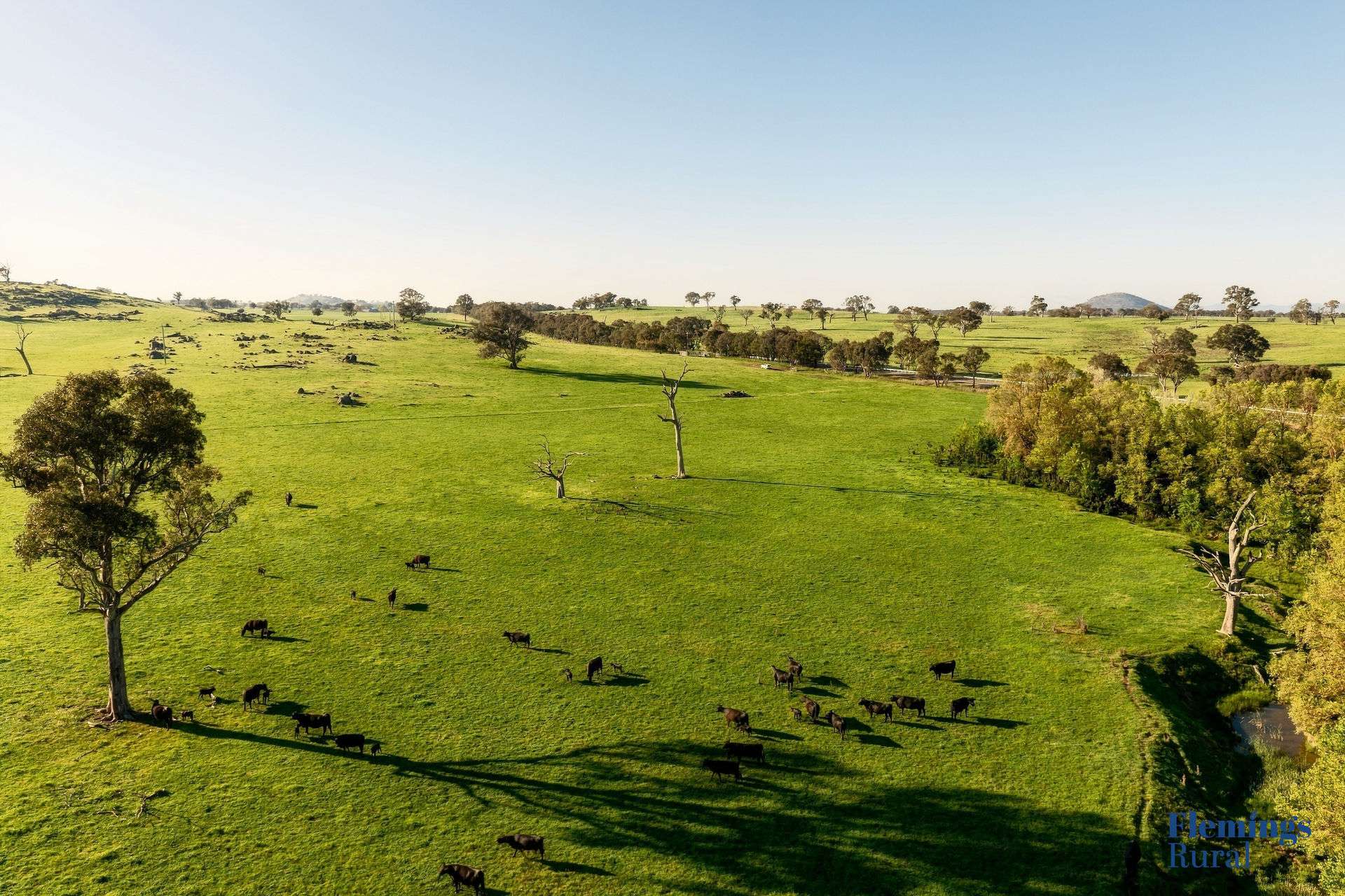 1174 Lachlan Valley Way, Bowning For Sale by Farmbuy.com - image 10