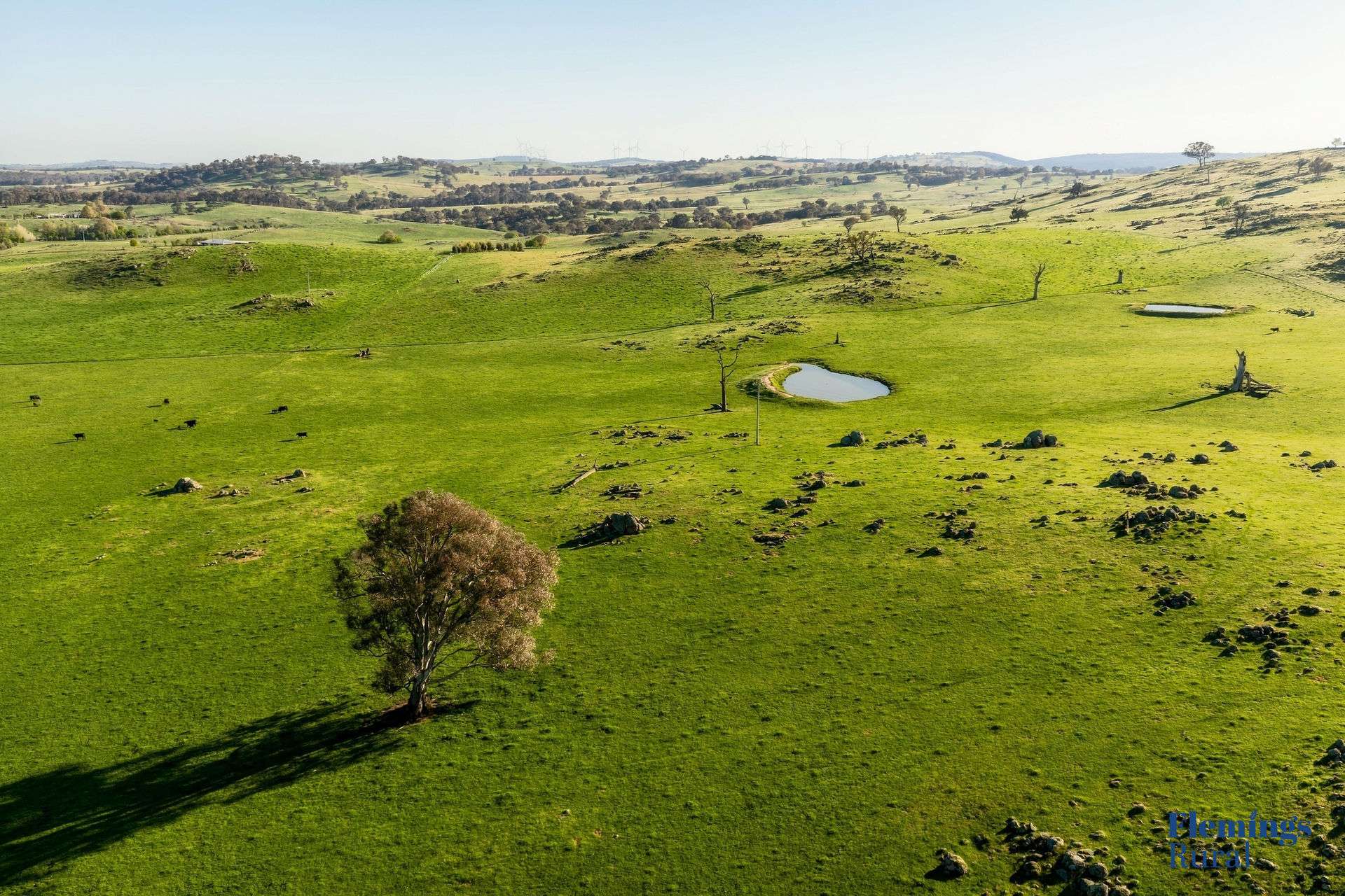1174 Lachlan Valley Way, Bowning For Sale by Farmbuy.com - image 19