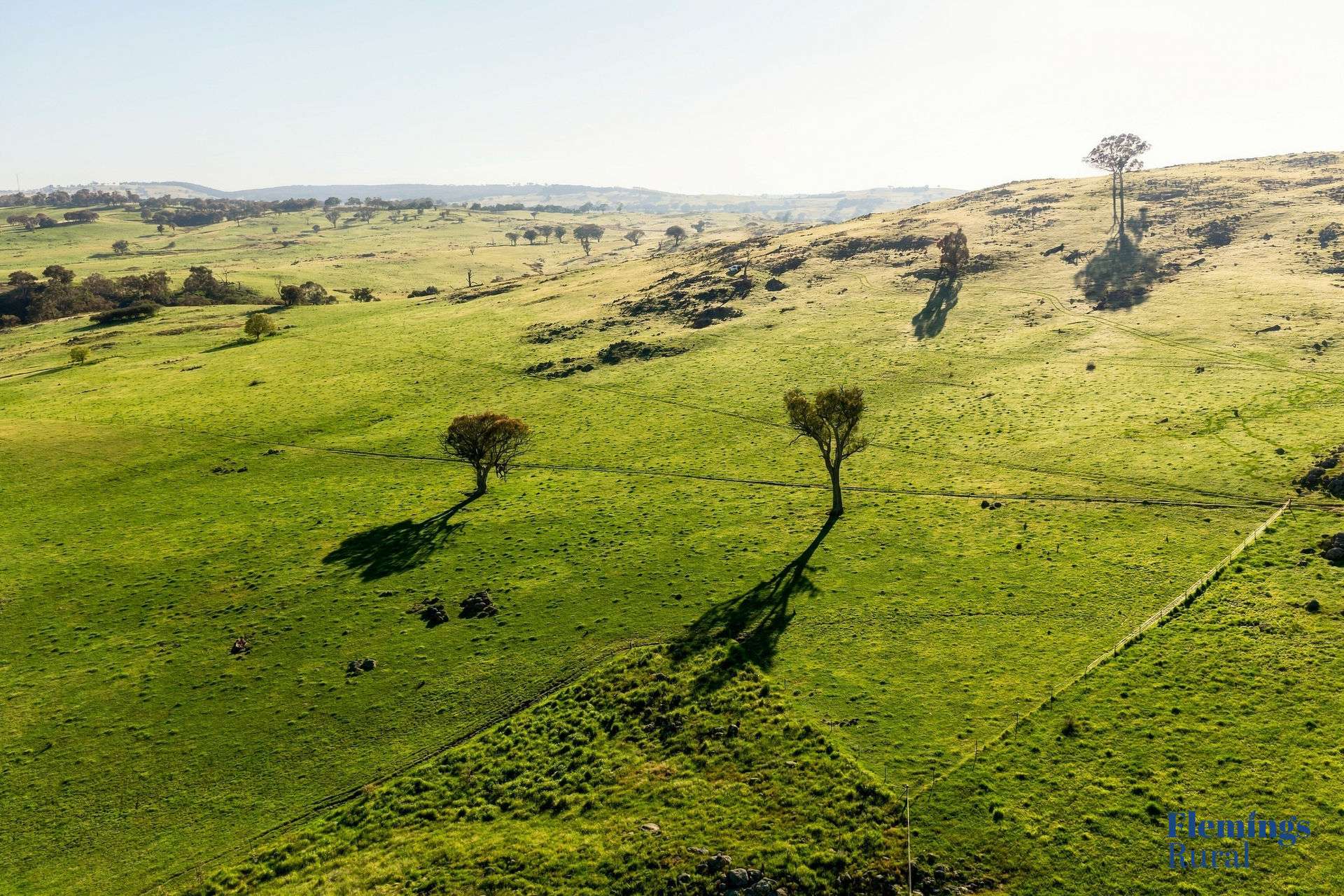 1174 Lachlan Valley Way, Bowning For Sale by Farmbuy.com - image 13