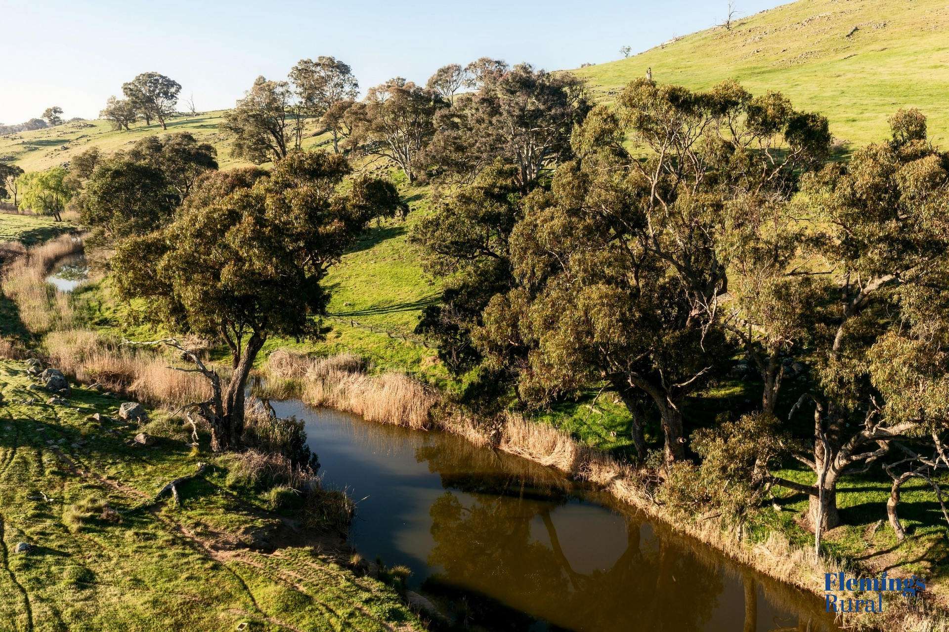 1174 Lachlan Valley Way, Bowning For Sale by Farmbuy.com - image 7