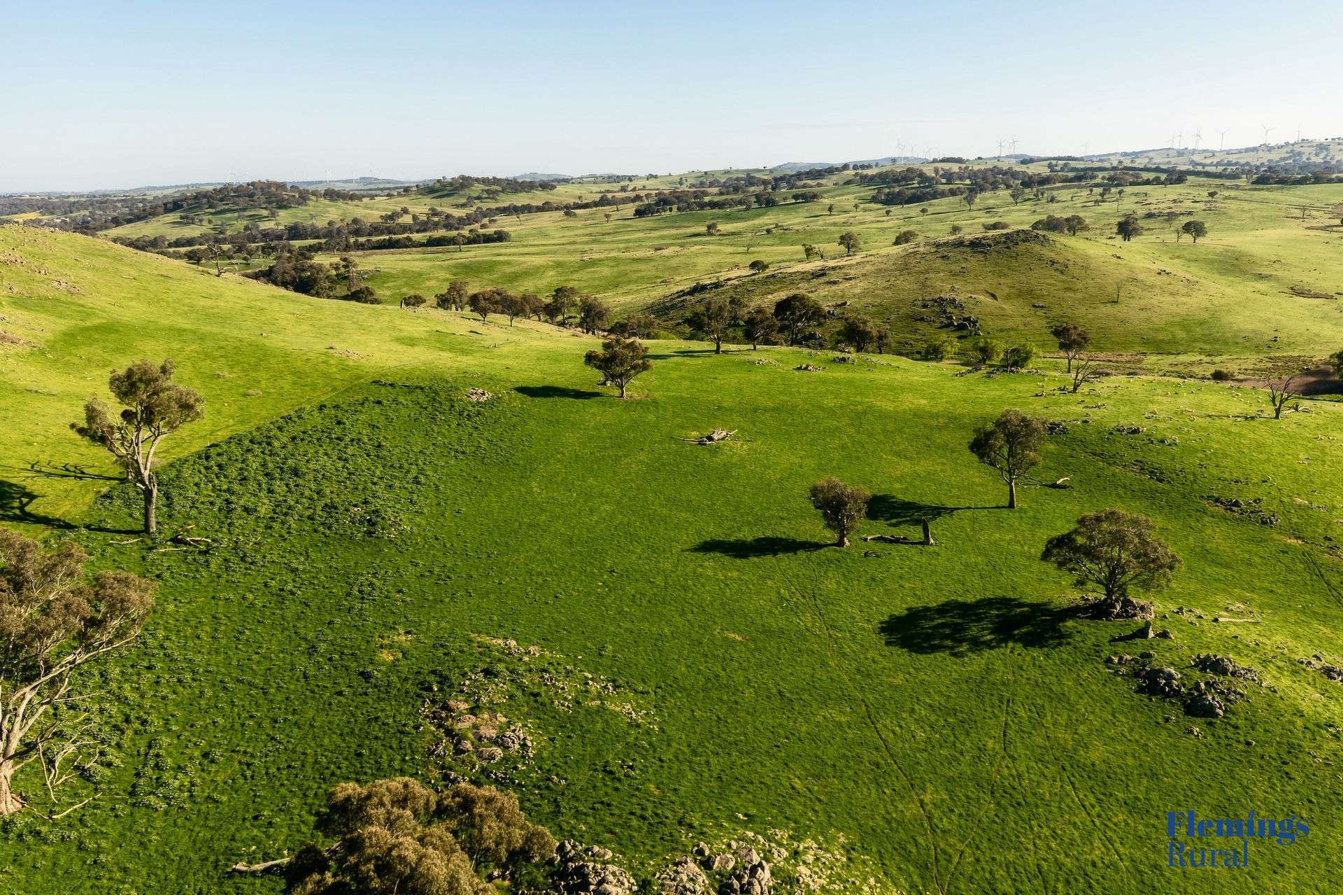 1174 Lachlan Valley Way, Bowning For Sale by Farmbuy.com - image 14