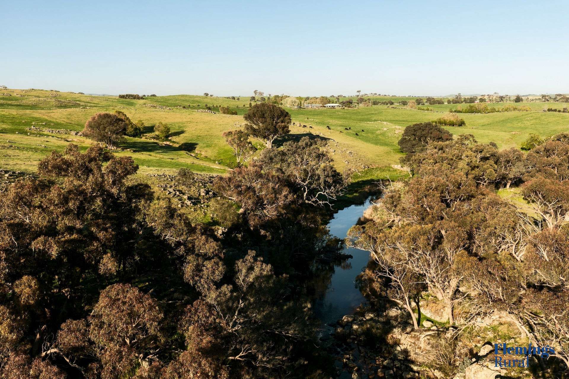 1174 Lachlan Valley Way, Bowning For Sale by Farmbuy.com - image 15