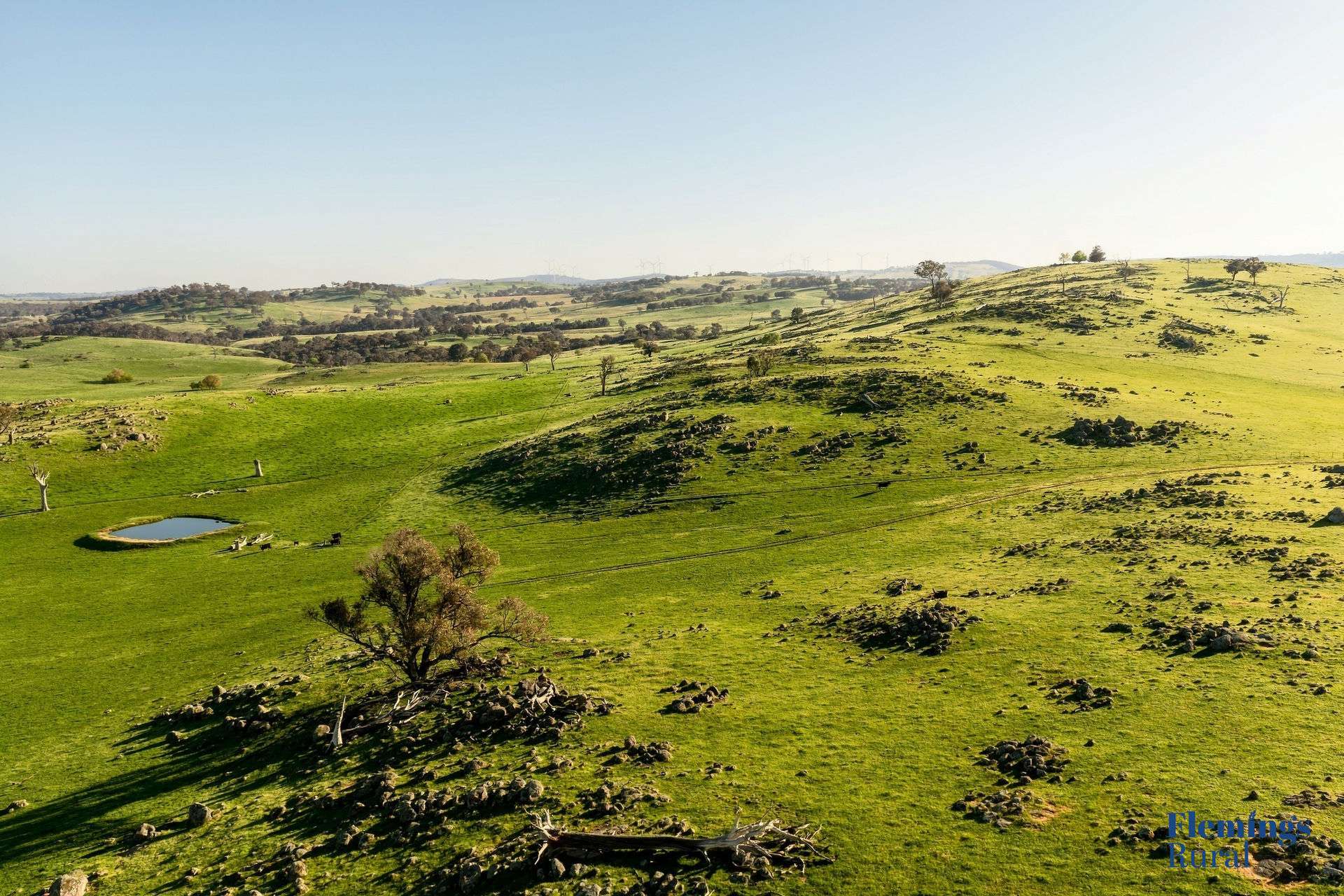 1174 Lachlan Valley Way, Bowning For Sale by Farmbuy.com - image 11