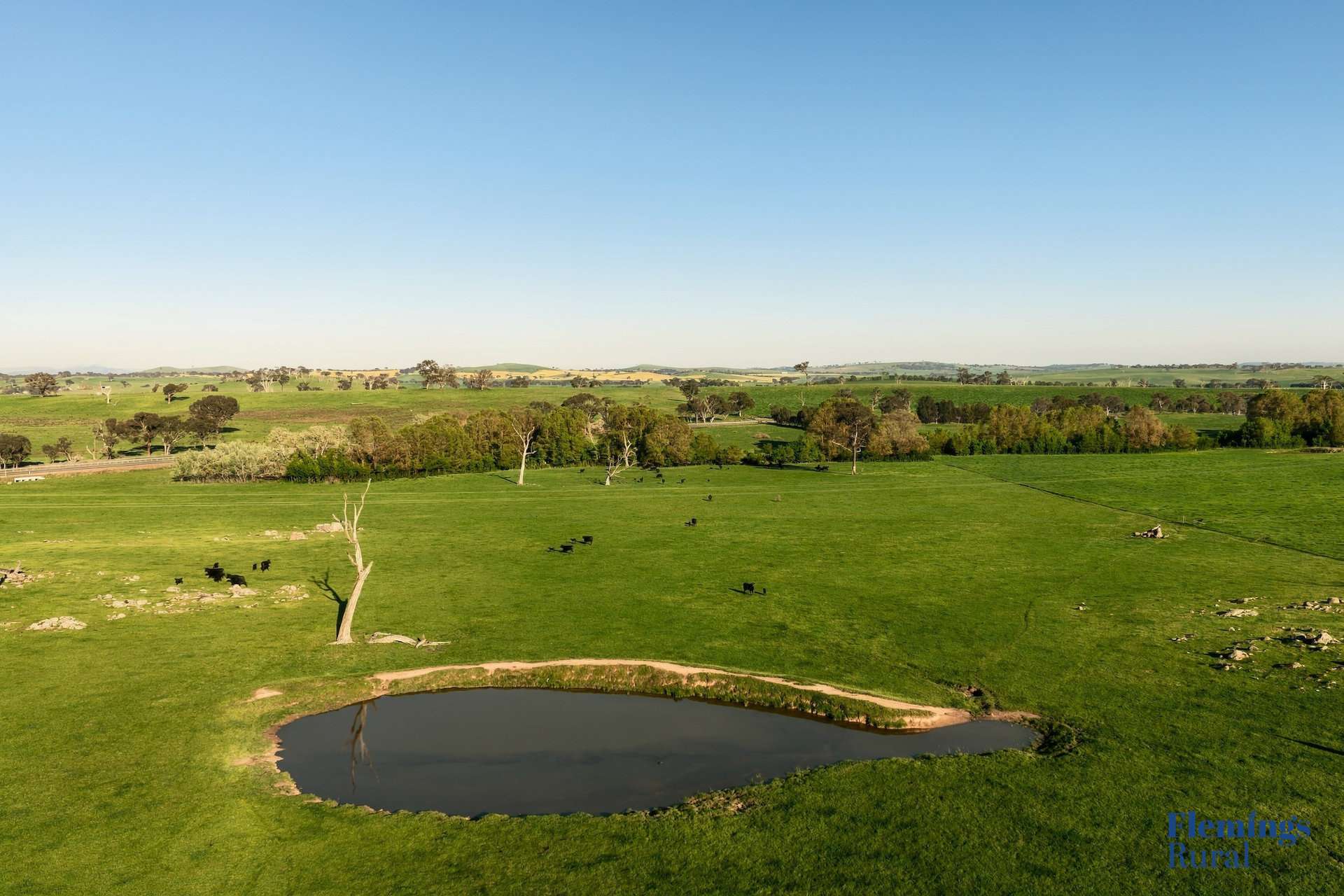 1174 Lachlan Valley Way, Bowning For Sale by Farmbuy.com - image 5