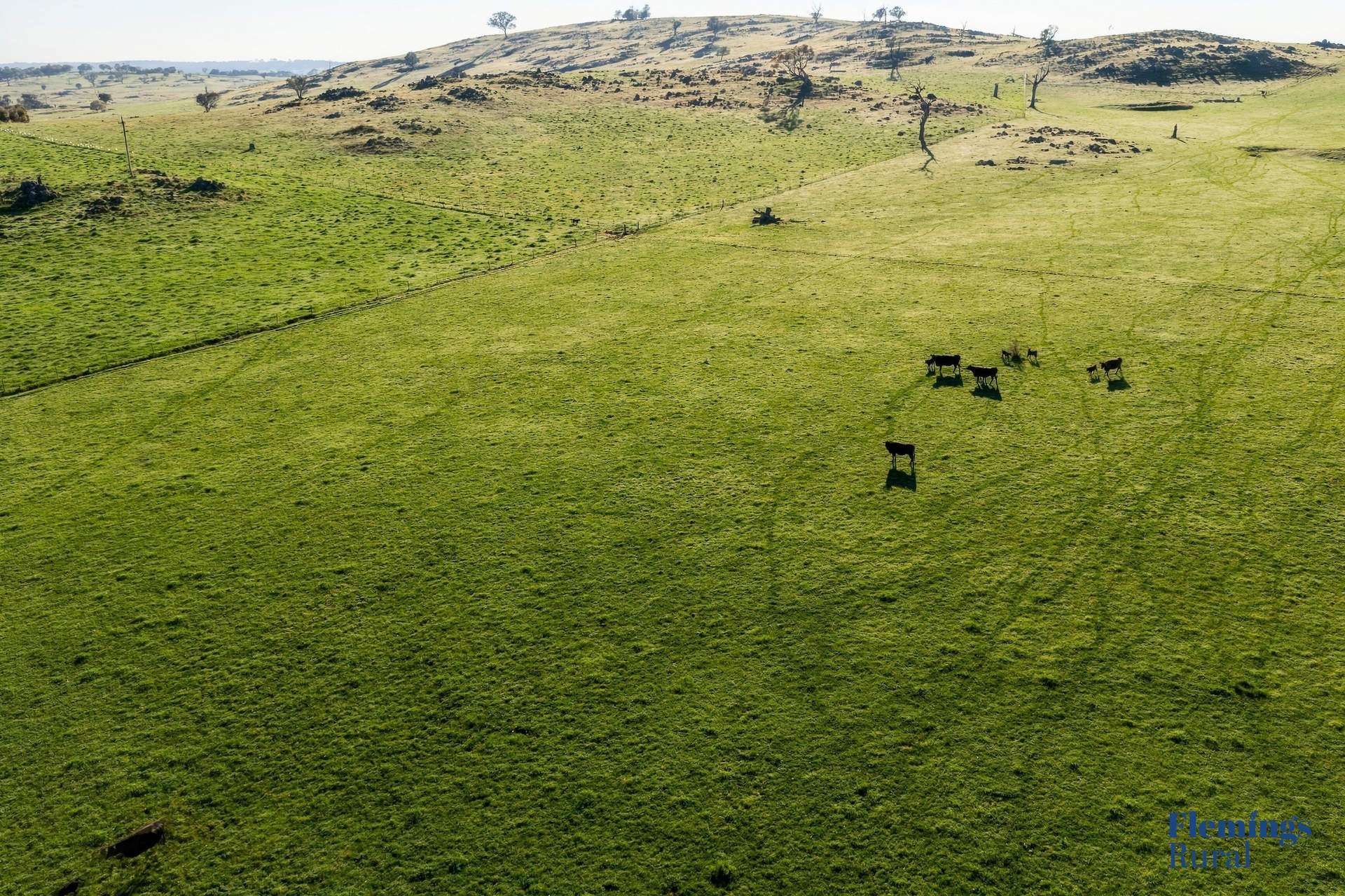 1174 Lachlan Valley Way, Bowning For Sale by Farmbuy.com - image 2