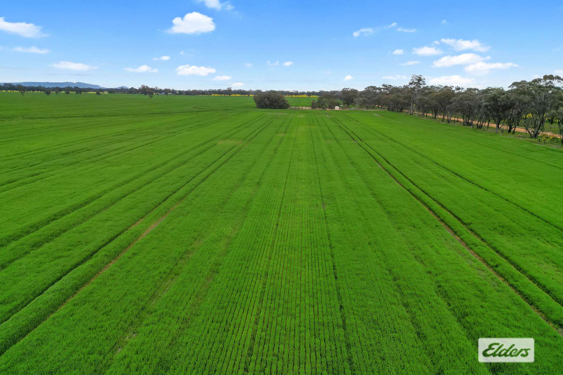 58 Gready Road, Wal Wal For Sale by Farmbuy.com - image 3
