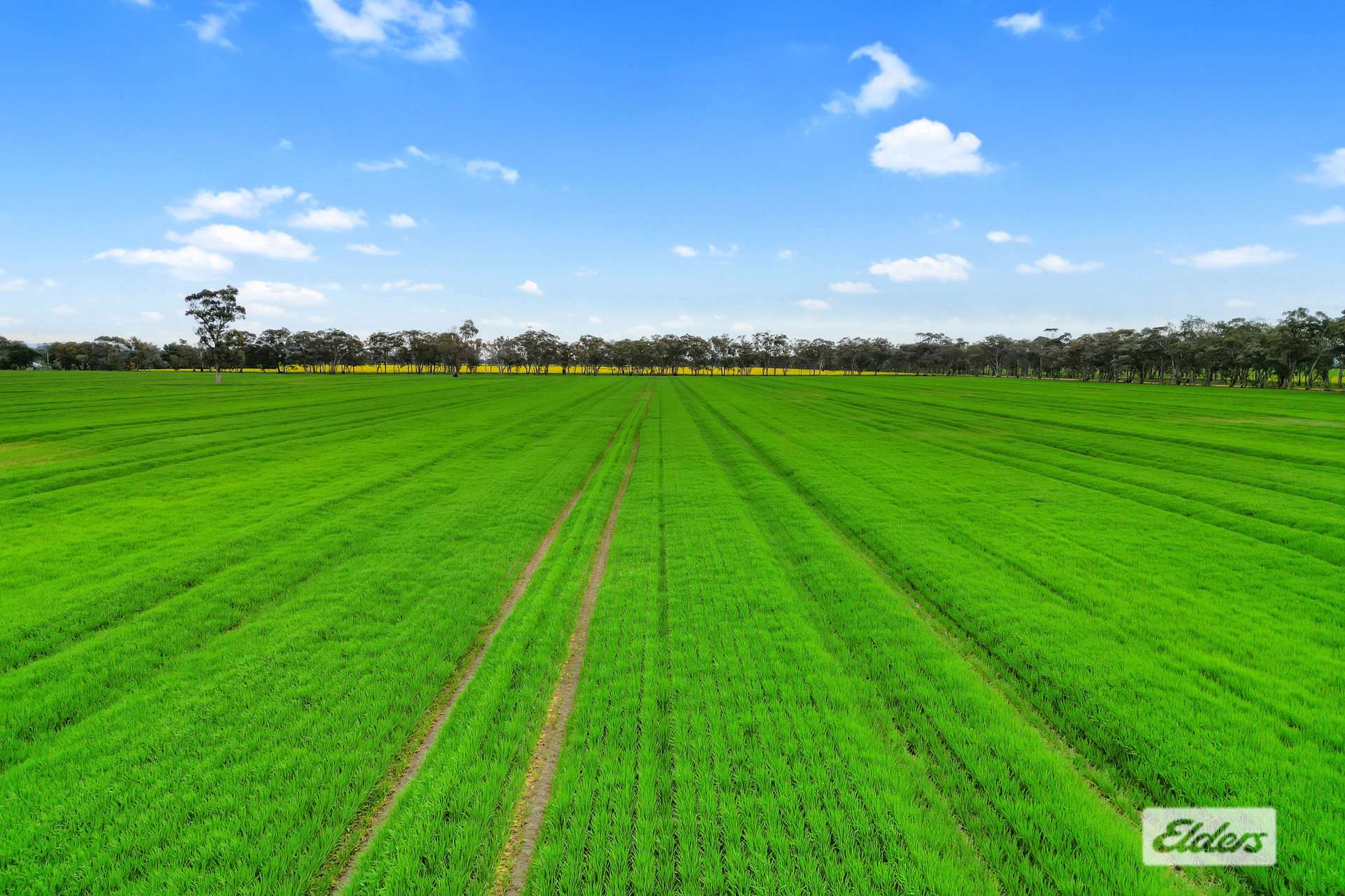 58 Gready Road, Wal Wal For Sale by Farmbuy.com - image 9