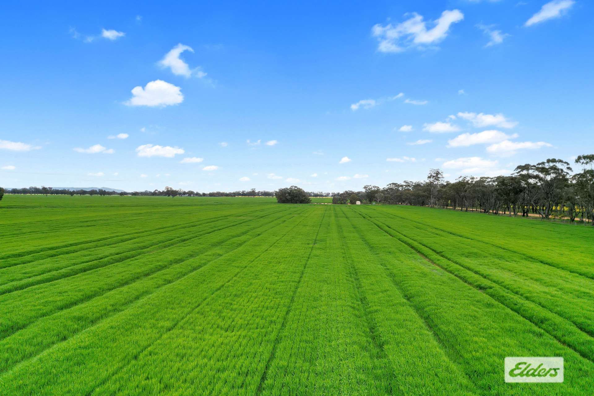 58 Gready Road, Wal Wal For Sale by Farmbuy.com - image 22