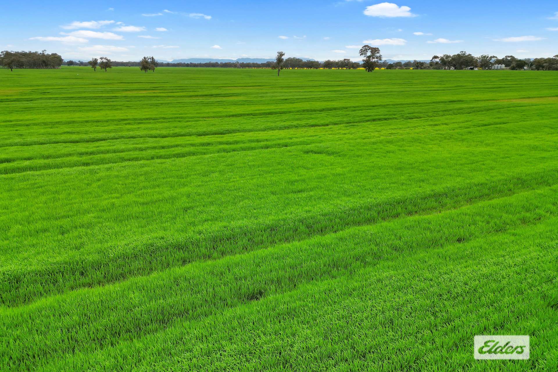58 Gready Road, Wal Wal For Sale by Farmbuy.com - image 8