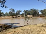 Wattlevale Lot 12 Capricorn Highway, Jericho Auction by Nutrien Harcourts Longreach